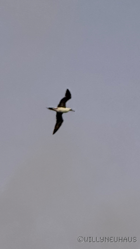 CruiseBarcelonaBuenosAires087