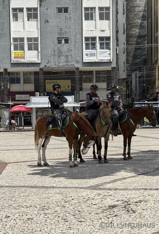 CruiseBarcelonaBuenosAires108