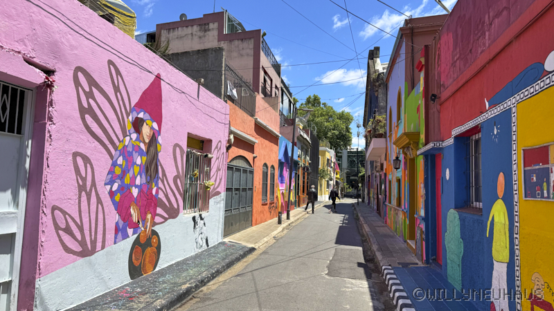 CruiseBarcelonaBuenosAires212