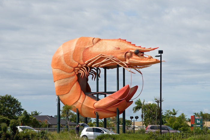 Australia east 14 118