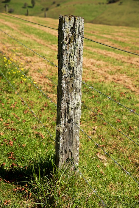 Australia east 14 125