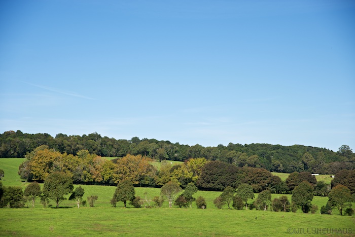 Australia east 14 126