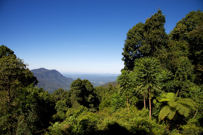 Australia east 14 129