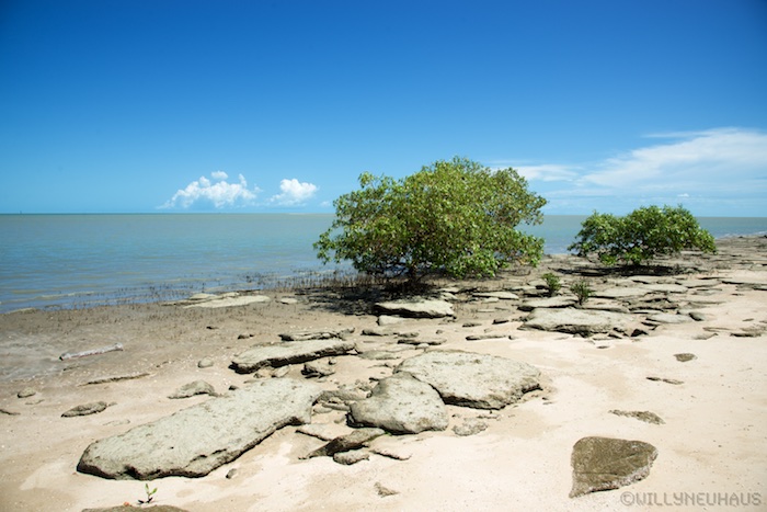 Australia east 14 13