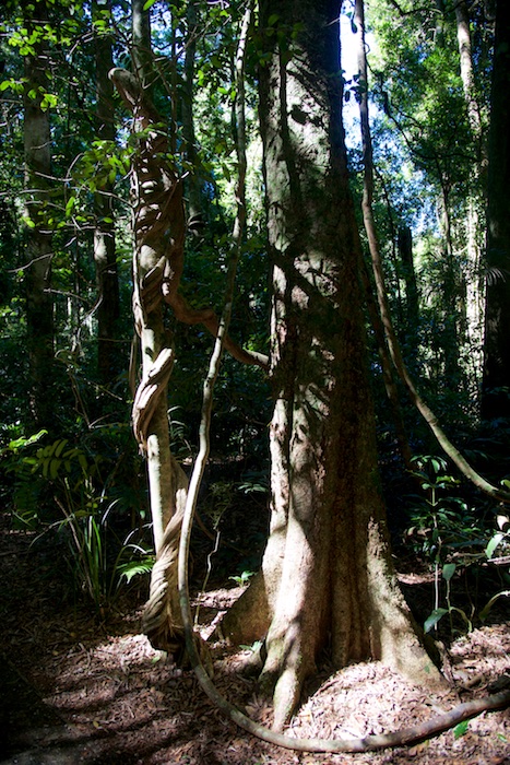 Australia east 14 130