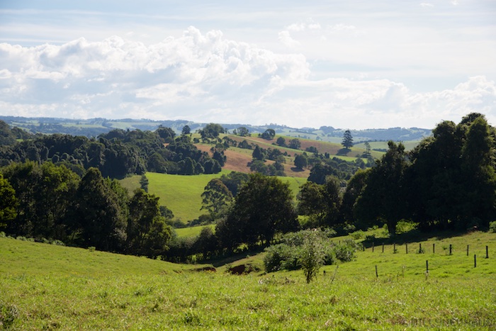 Australia east 14 133