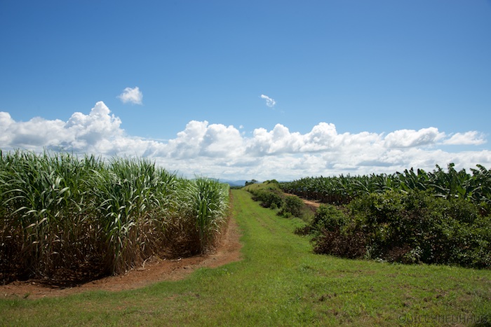 Australia east 14 37