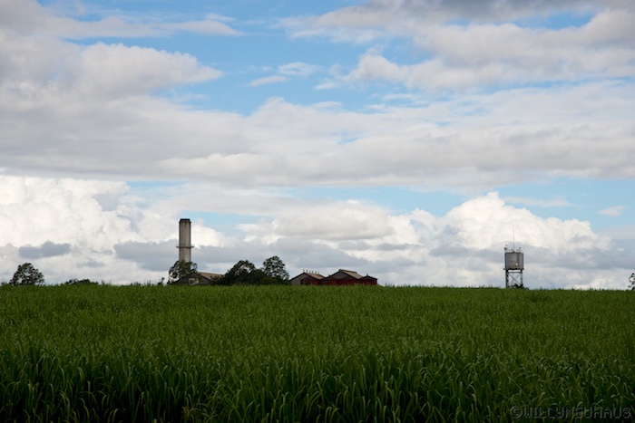 Australia east 14 94