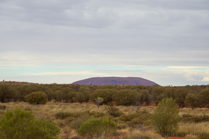 Australia south 14 137