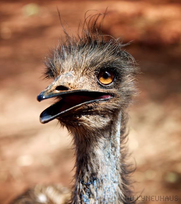 Australia south 14 140