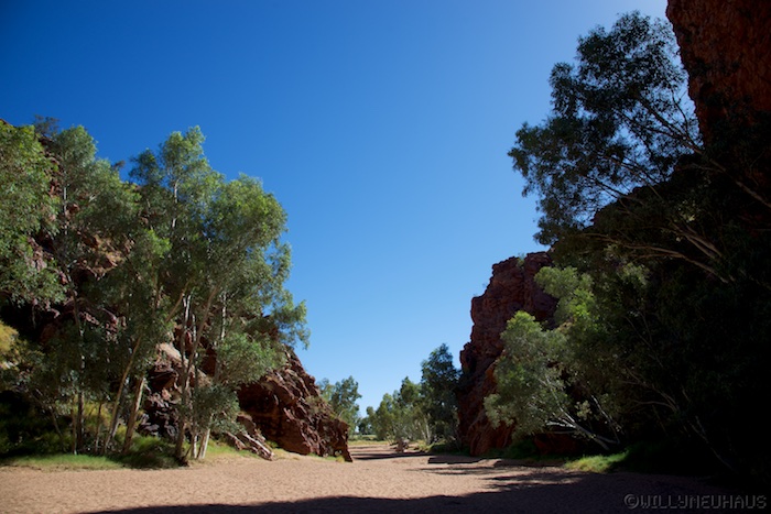 Australia south 14 145