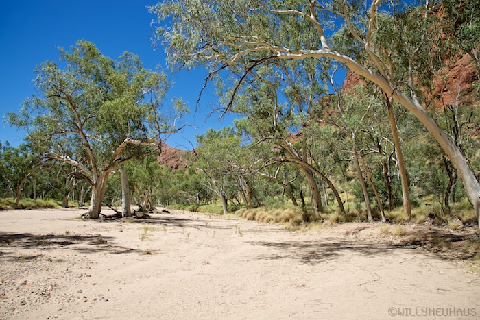 Australia south 14 149