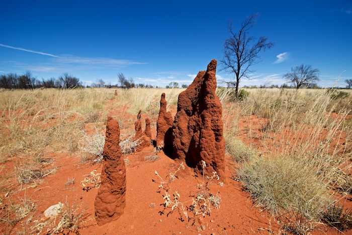 Australia south 14 166