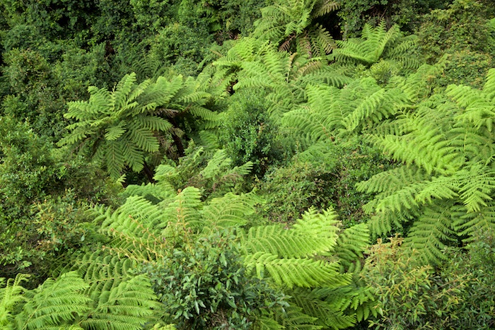 Australia south 14 46