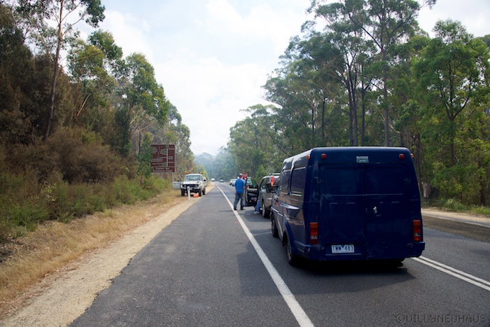 Australia south 14 66