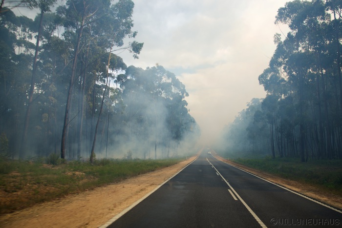 Australia south 14 67