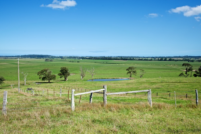 Australia south 14 68