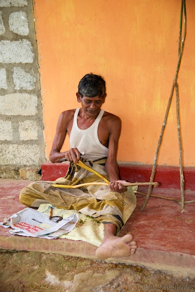 CinnamonSriLanka 002