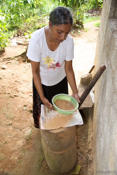 CinnamonSriLanka 007